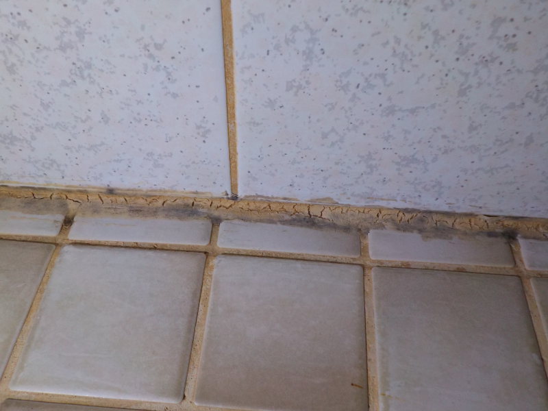 märkätilakartoitus